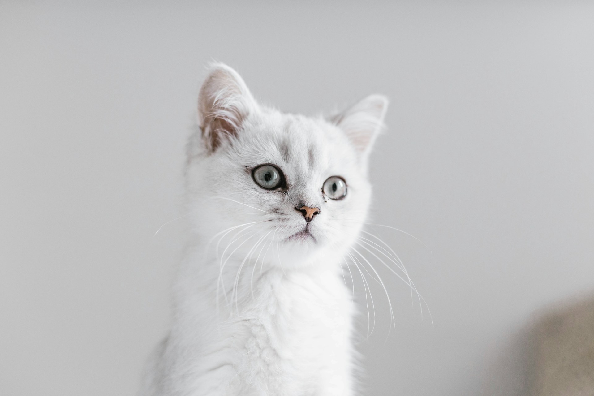 Иконка услуги