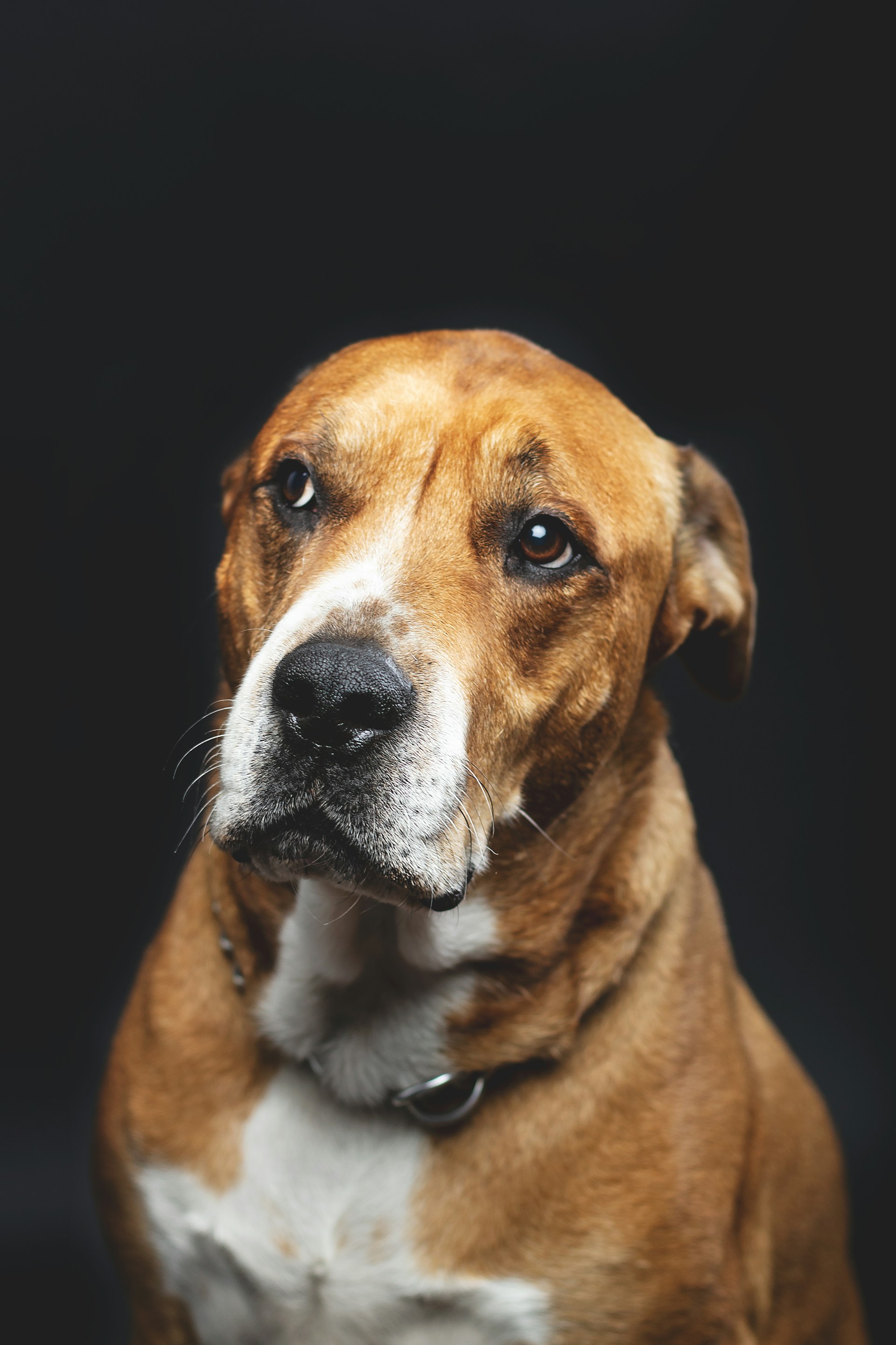 Иконка услуги