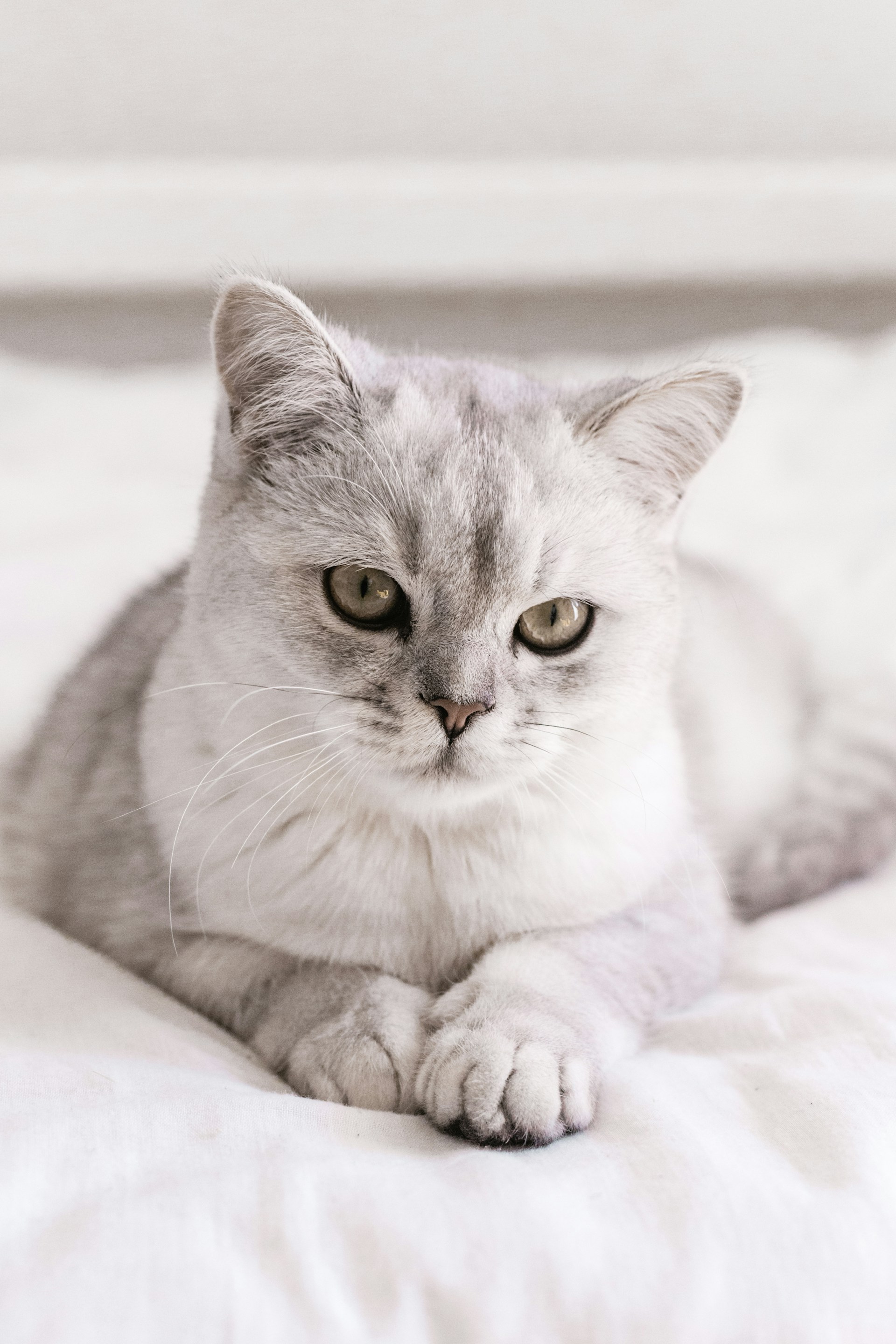 Иконка услуги